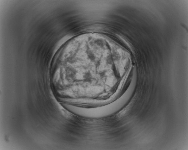 X0000096951434200803071018