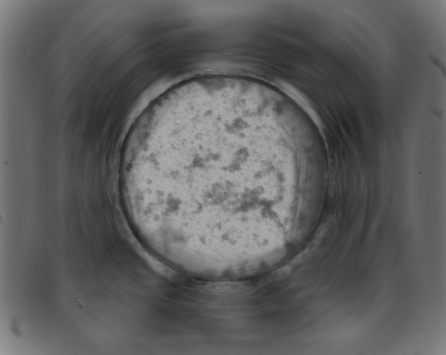 X0000096951437200803071018