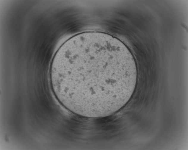 X0000096951440200803071018