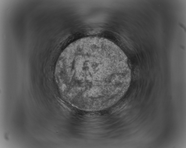 X0000096951441200803071018