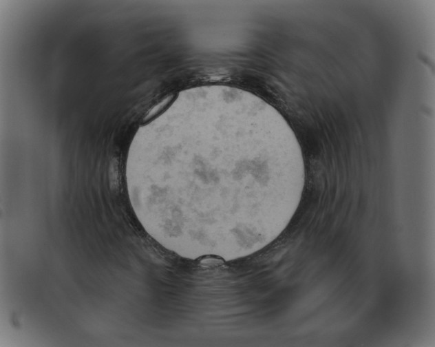 X0000096951442200803071018