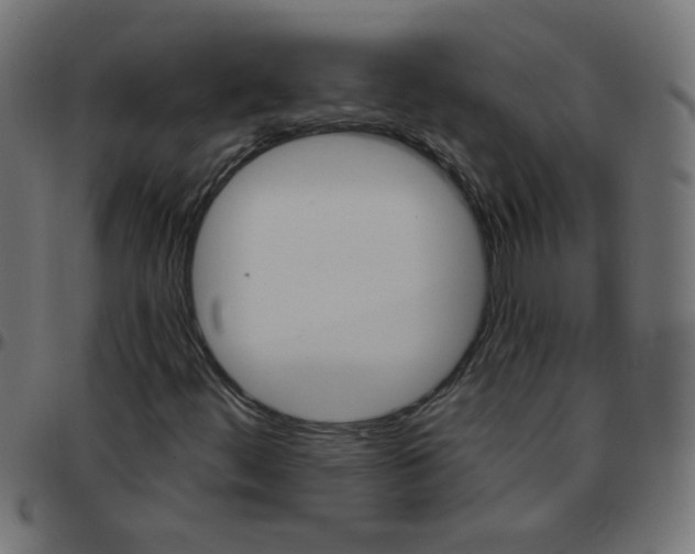 X0000096951444200803071018