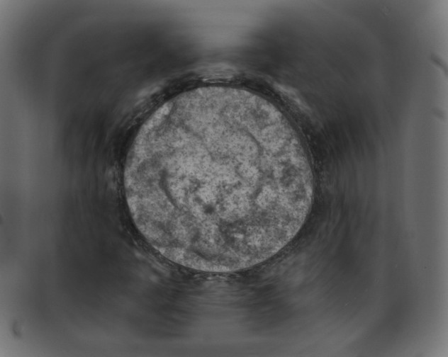X0000096951445200803071018