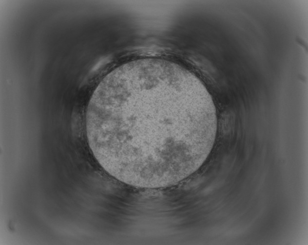 X0000096951446200803071018