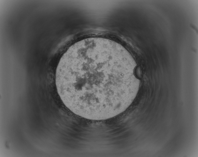 X0000096951447200803071018