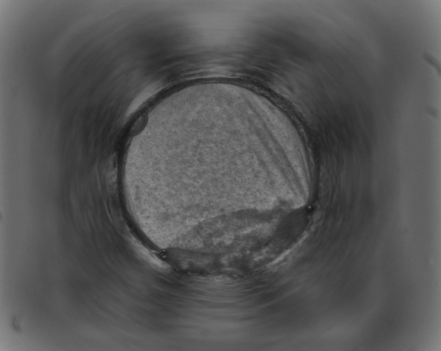 X0000096951450200803071017