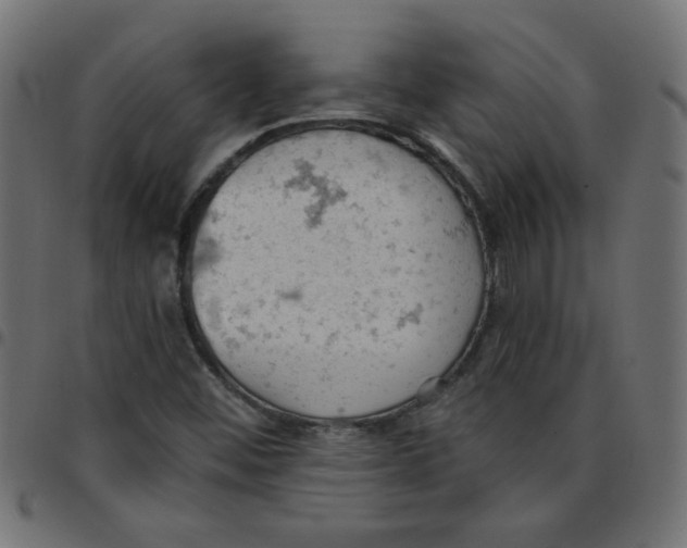 X0000096951452200803071017