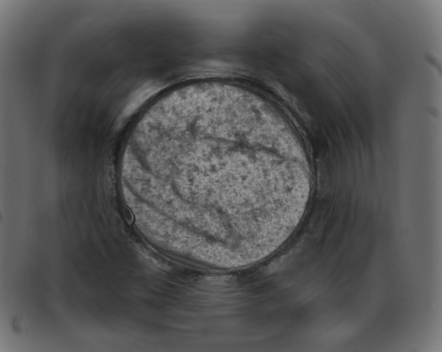 X0000096951453200803071017