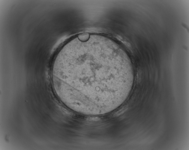 X0000096951454200803071017