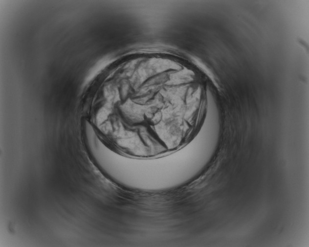 X0000096951456200803071017