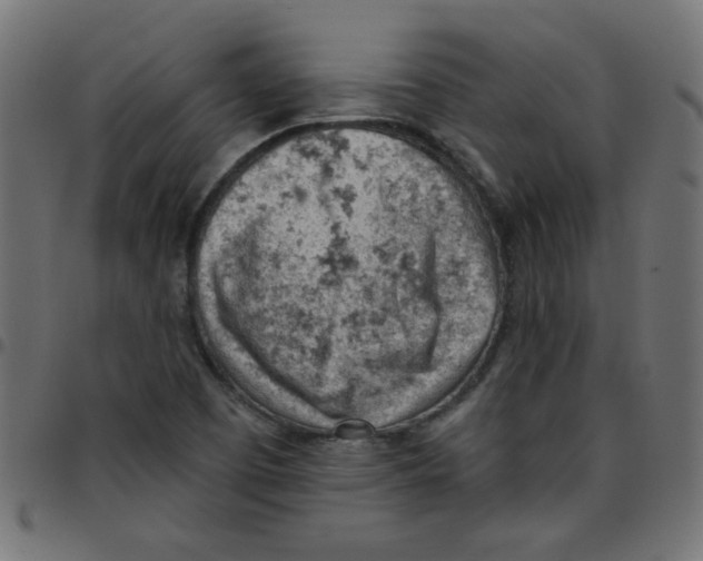 X0000096951457200803071017