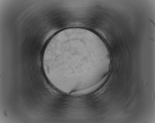 X0000096951458200803071017