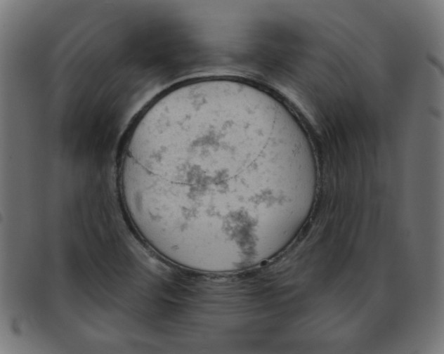 X0000096951460200803071017