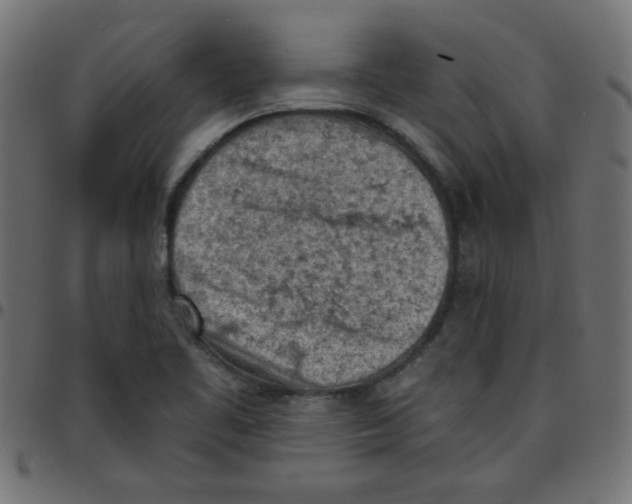 X0000096951461200803071017