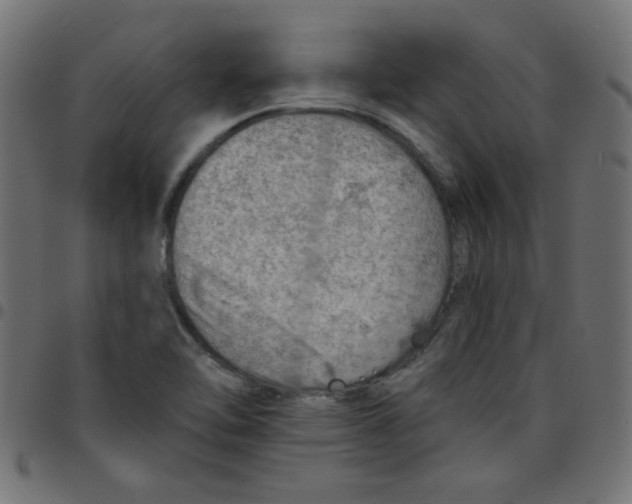 X0000096951462200803071017