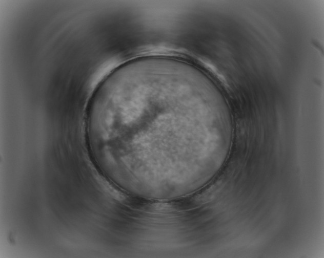 X0000096951463200803071017