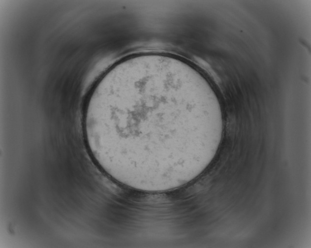X0000096951464200803071017