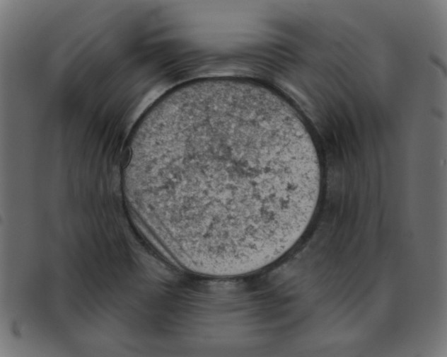 X0000096951465200803071017