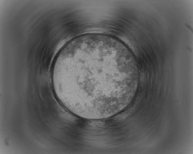 X0000096951466200803071017