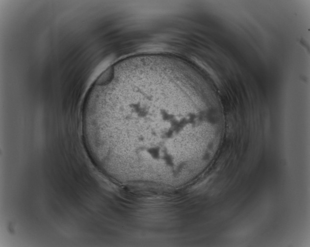 X0000096951467200803071017