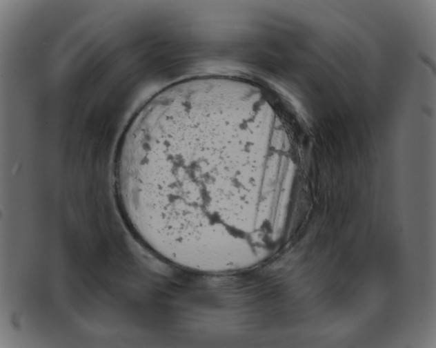 X0000096951471200803071017