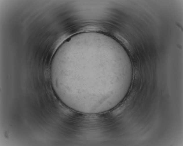 X0000096951473200803071017