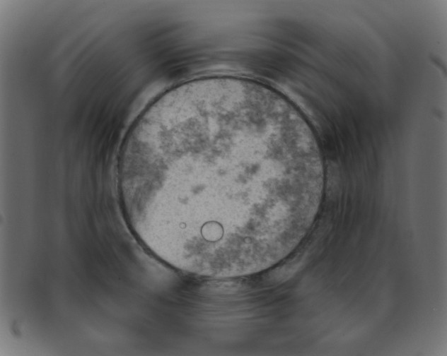X0000096951474200803071017