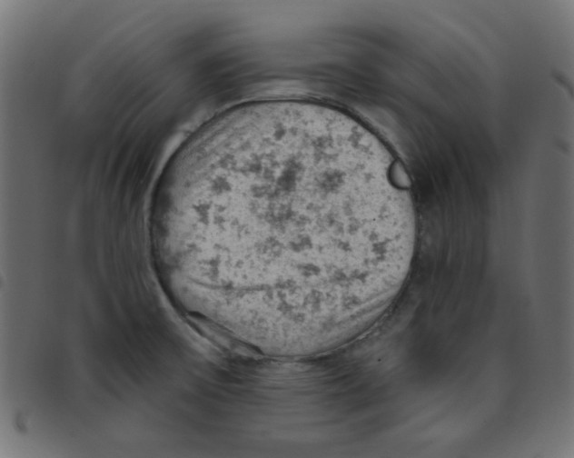 X0000096951475200803071017