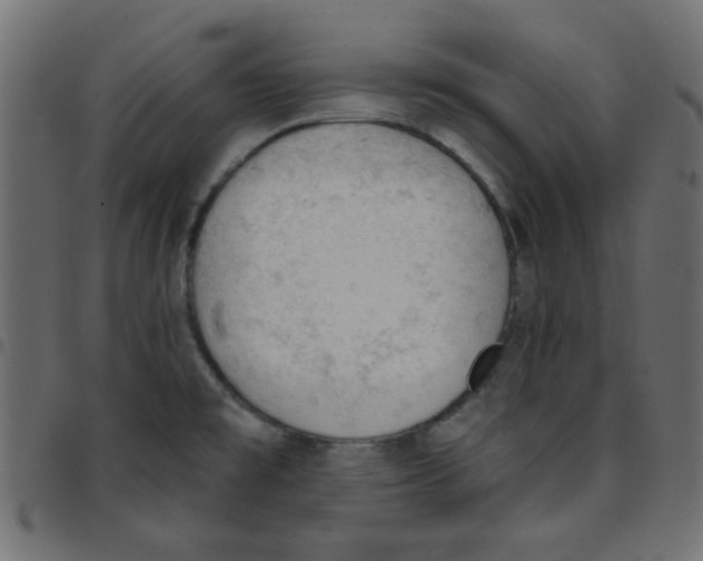 X0000096951477200803071017