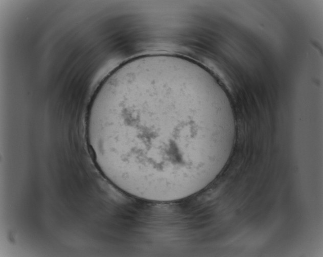 X0000096951480200803071017