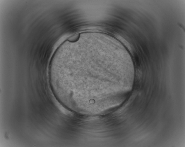 X0000096951482200803071017