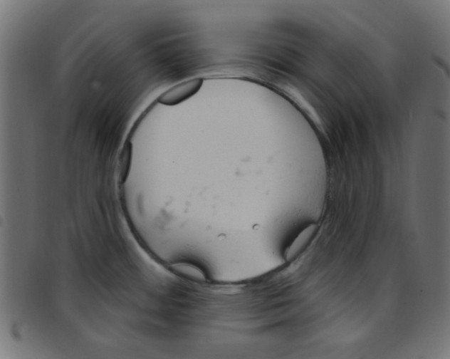 X0000096951484200803071017