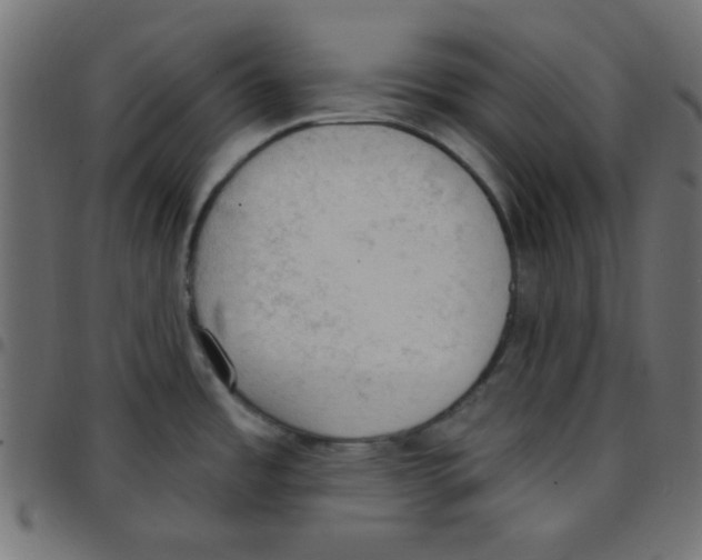 X0000096951485200803071017