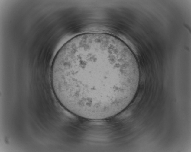 X0000096951486200803071017