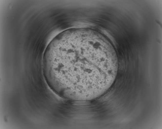 X0000096951487200803071017