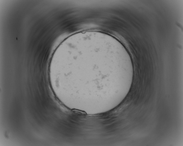 X0000096951488200803071017