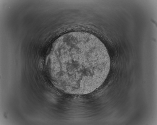 X0000096951490200803071016