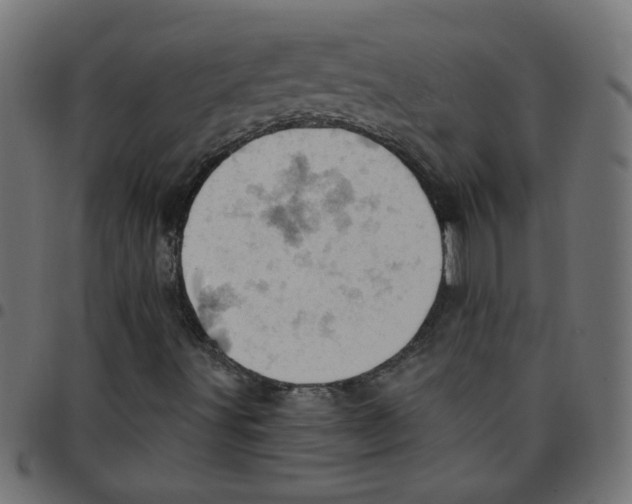 X0000096951491200803071016