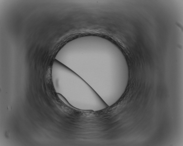 X0000096951492200803071016