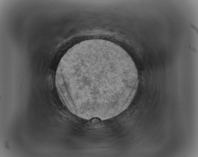 X0000096951493200803071016