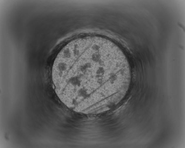 X0000096951494200803071016