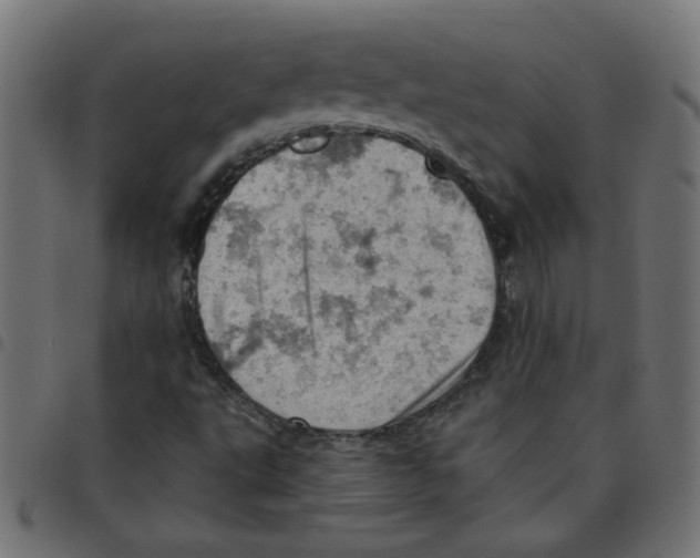 X0000096951495200803071016