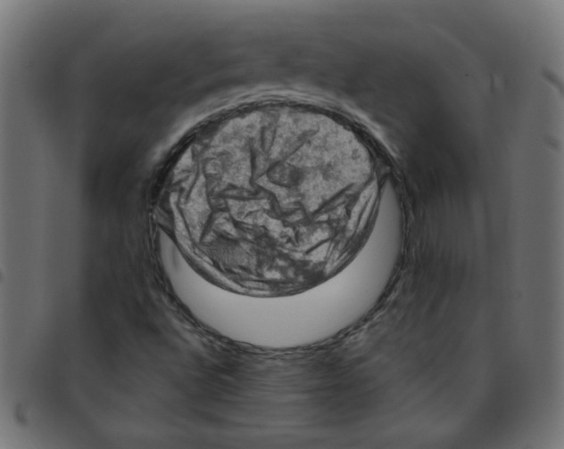 X0000096951496200803071016