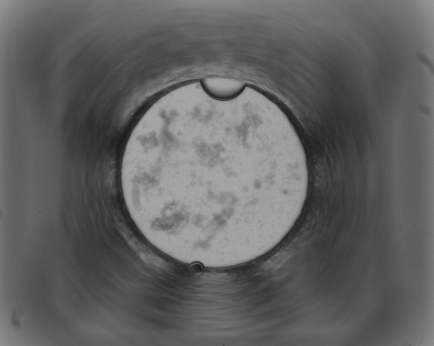 X0000096951499200803071016
