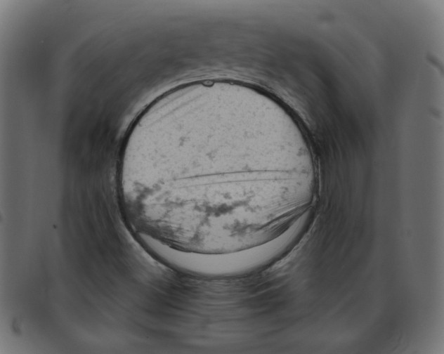 X0000096951500200803071016