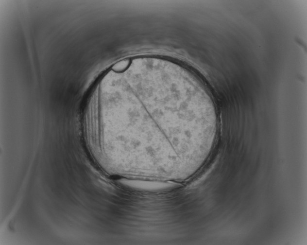 X0000096951501200803071016