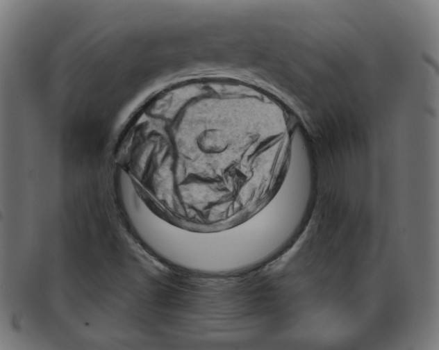 X0000096951502200803071016