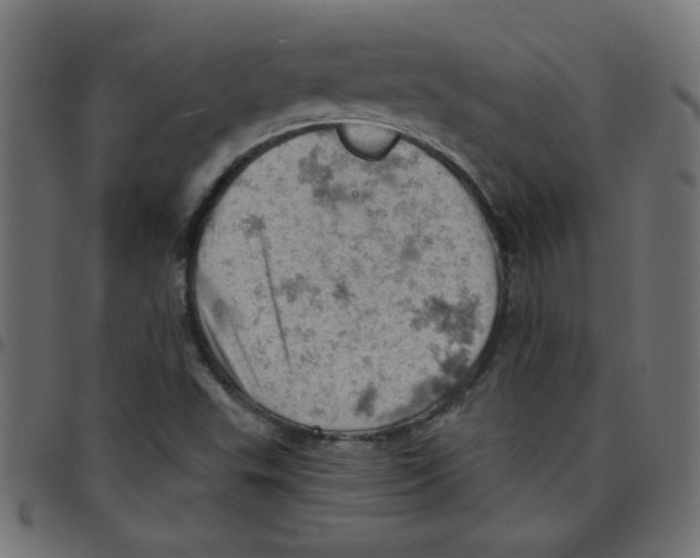 X0000096951503200803071016