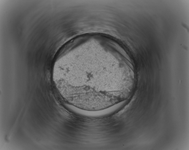 X0000096951505200803071016