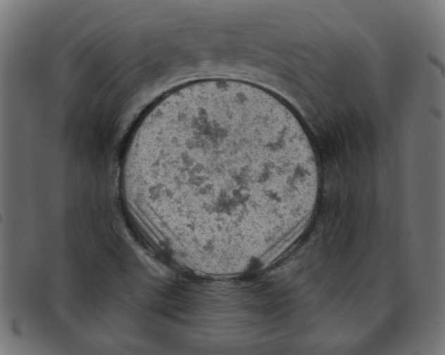 X0000096951507200803071016